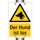 Der Hund ist los