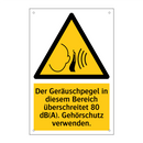 Der Geräuschpegel in diesem Bereich überschreitet 80 dB(A). Gehörschutz verwenden.