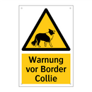 Warnung vor Border Collie