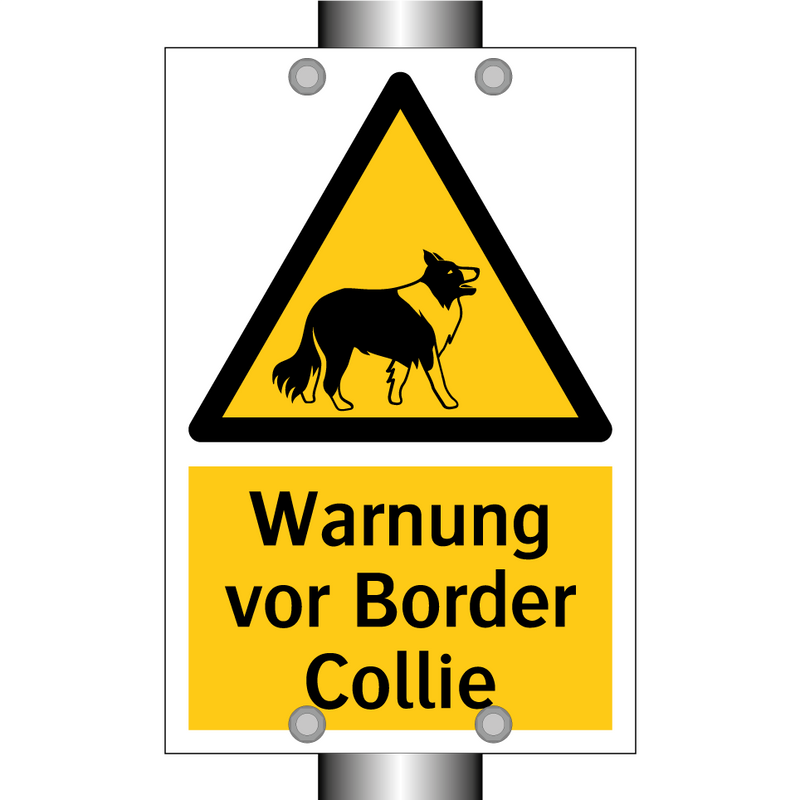 Warnung vor Border Collie