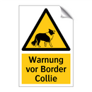 Warnung vor Border Collie