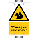 Warnung vor Eichhörnchen