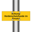 Achtung: Herdenschutzhunde im Einsatz!