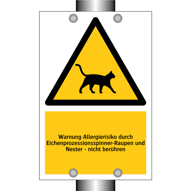Warnung Allergierisiko durch Eichenprozessionsspinner-Raupen und Nester - nicht berühren