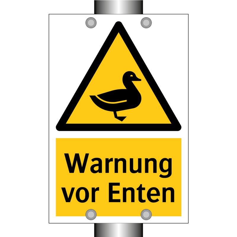 Warnung vor Enten