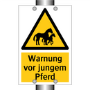 Warnung vor jungem Pferd