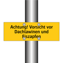 Achtung! Vorsicht vor Dachlawinen und Eiszapfen