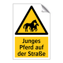 Junges Pferd auf der Straße