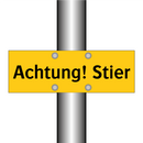 Achtung! Stier