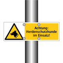 Achtung: Herdenschutzhunde im Einsatz!