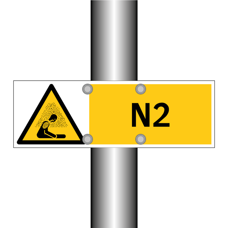 N2