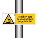Reduziert eure Geschwindigkeit, junge Störche!