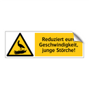Reduziert eure Geschwindigkeit, junge Störche!