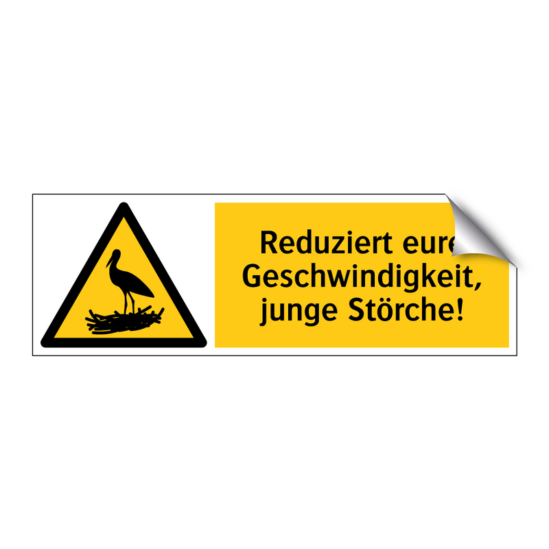 Reduziert eure Geschwindigkeit, junge Störche!