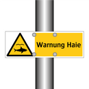 Warnung Haie