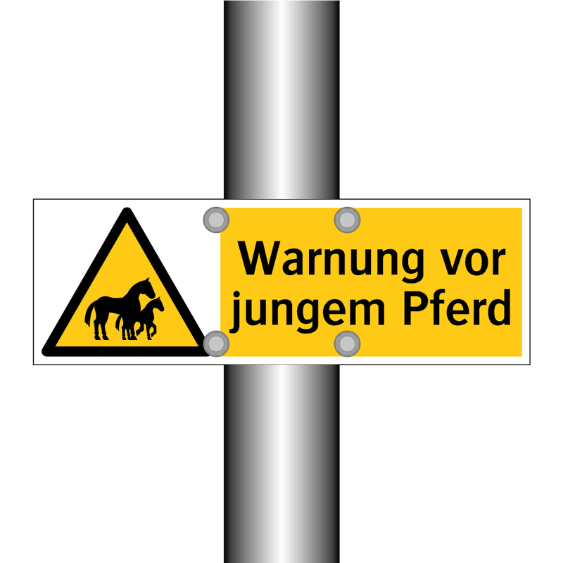 Warnung vor jungem Pferd