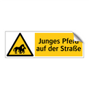 Junges Pferd auf der Straße