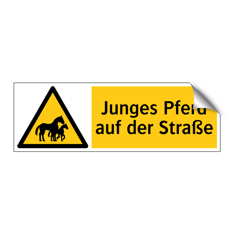 Junges Pferd auf der Straße